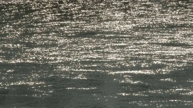 河时间流逝