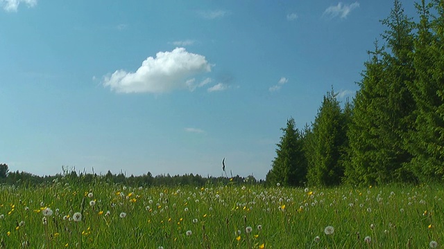 自然风景