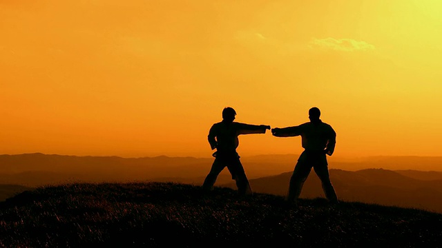 詳情圖-HD,CRANE:戶外練習(xí)武術(shù)