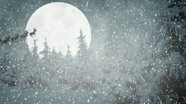 詳情圖-會(huì)飛的圣誕老人