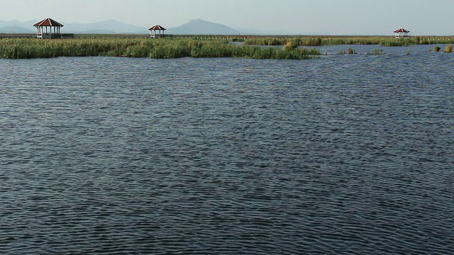 视图湿地