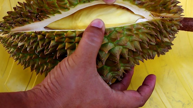 榴莲