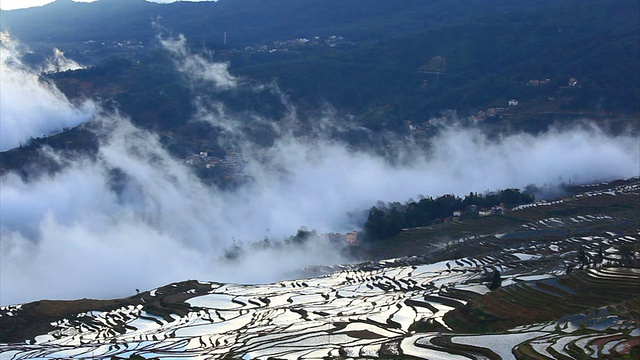 元阳梯田