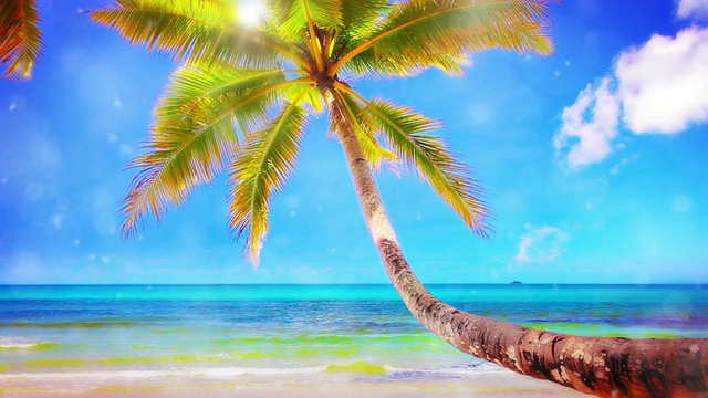 详情图-梦想海滩