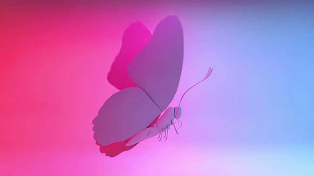 蝴蝶