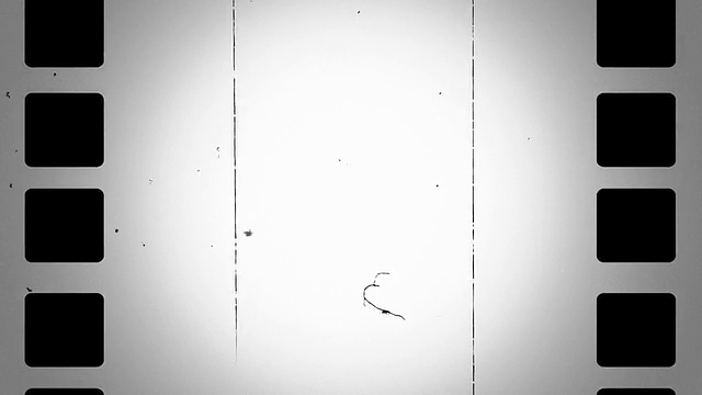 詳情圖-電影領(lǐng)舞,倒計(jì)時(shí)
