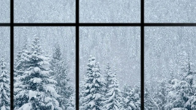 美丽的冬季景色，雪花落在松树上，循环