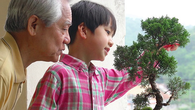 彭静爷爷和孙子坂塞