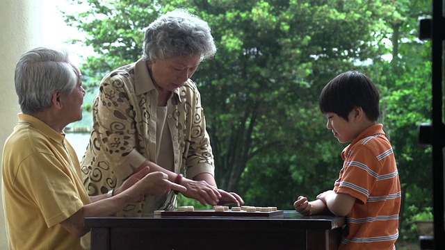 中国象棋爷爷奶奶和孙子