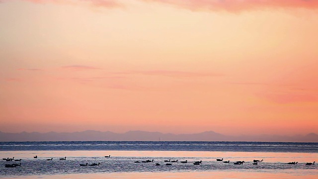 青海湖的黎明