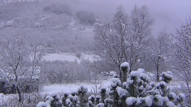 白雪皑皑的郊区。