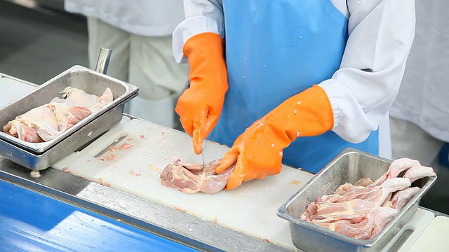 在生产过程中切鸡肉