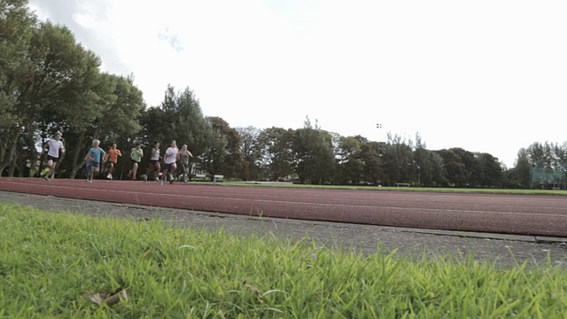 公园里的人们