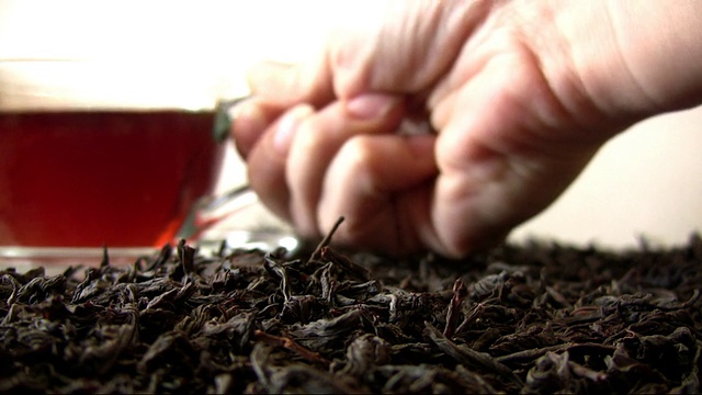茶