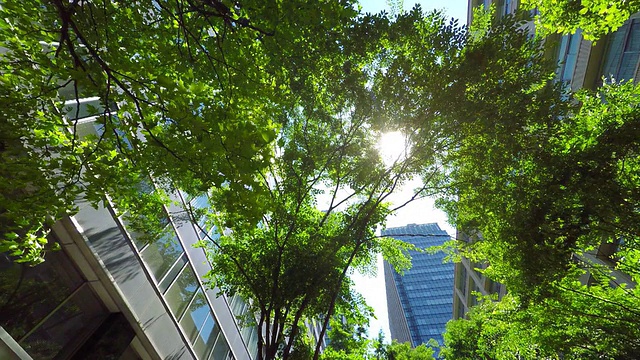 绿色建筑——仰望天空