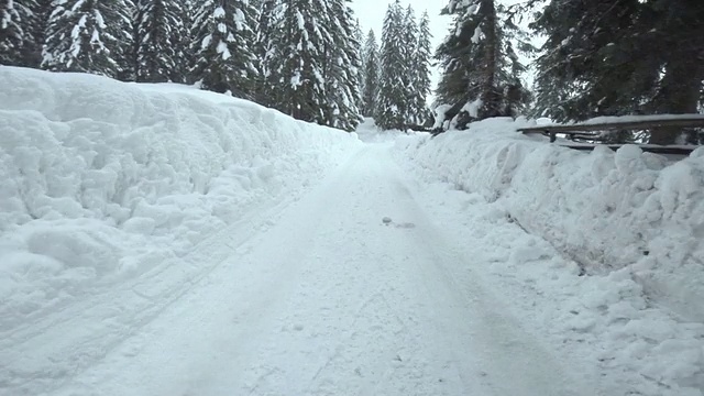 在白雪覆盖的森林路上开车