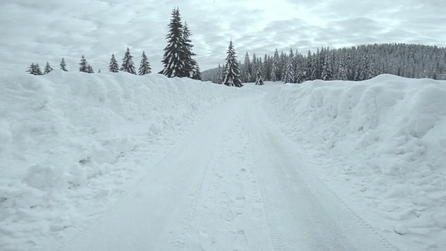 在白雪皑皑的森林路上开车