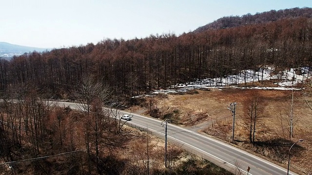 草原道路