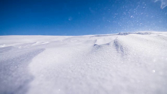 雪花在风中飞舞