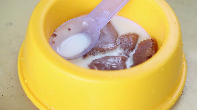 宠物食品