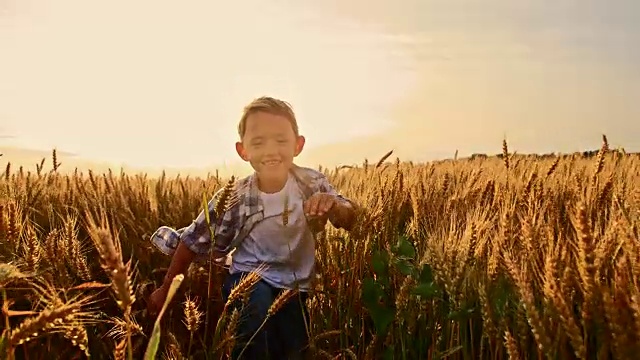可爱的小男孩在麦田里奔跑