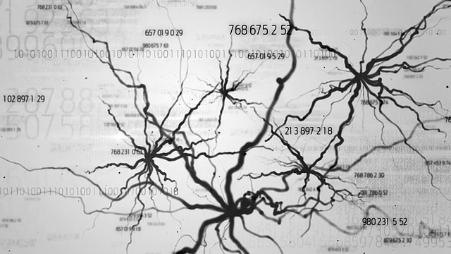 穿越一个数字大脑