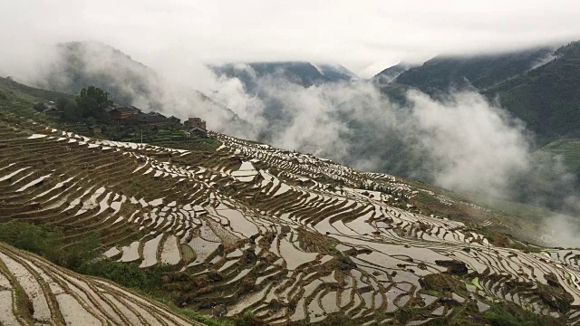 龙胜的稻田
