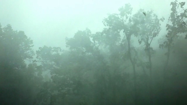 大风和大雨