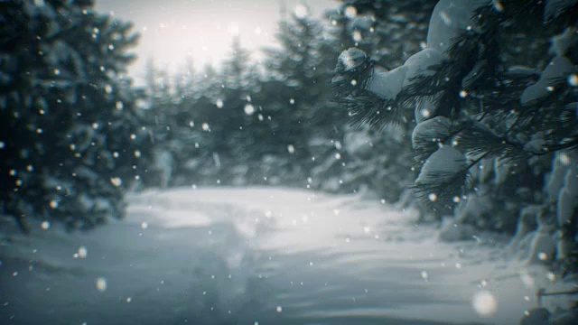冬季景观和雪(可循环)