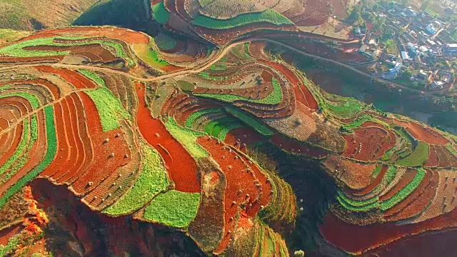 中国云南的高空水稻田