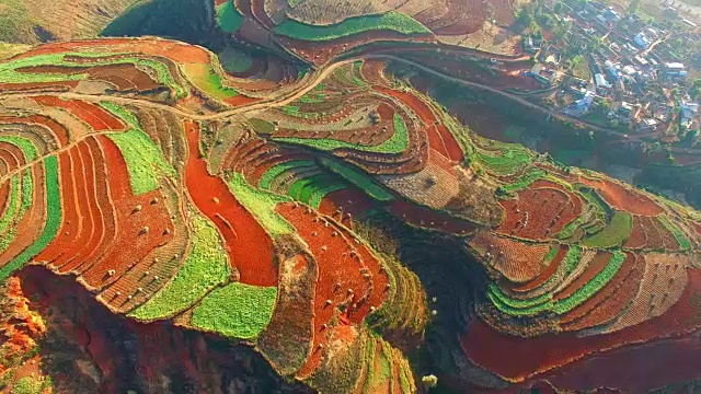 詳情圖-中國(guó)云南的高空水稻田