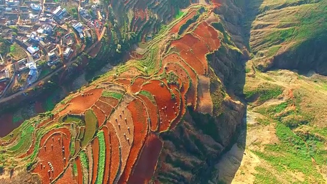 中國云南的高空水稻田