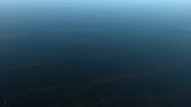 水面