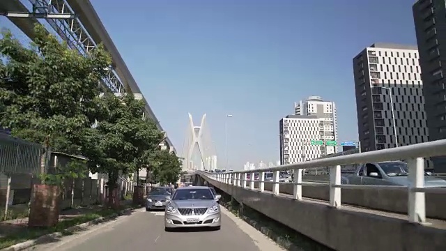 边缘松树-圣保罗