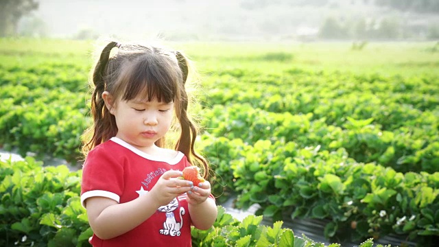 詳情圖-小女孩摘草莓吃