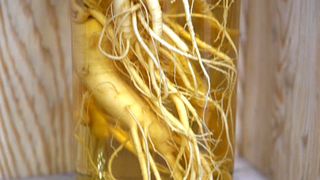 人参