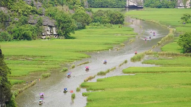 WS ZO乘坐观光船游览越南宁平市湄公河上的“越冬”稻田;