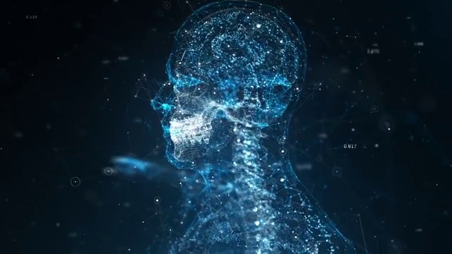 人体