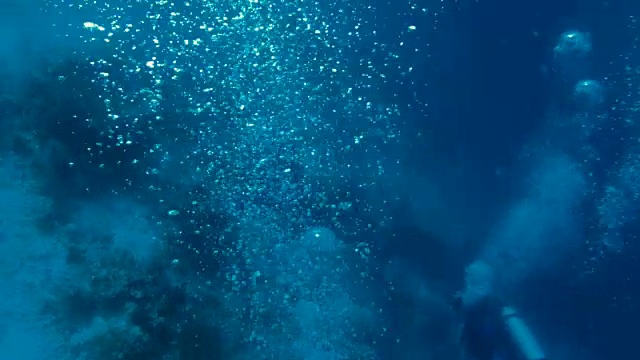详情图-水肺潜水