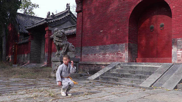 詳情圖-少林功夫