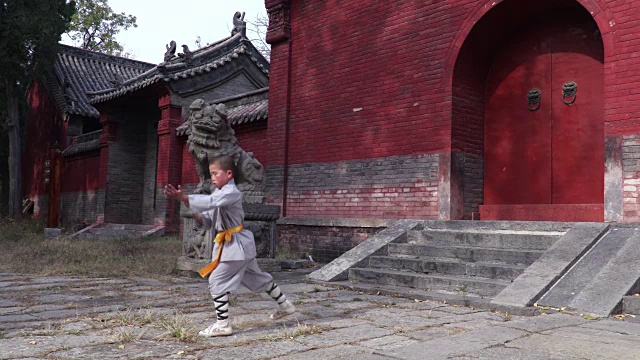 詳情圖-少林功夫