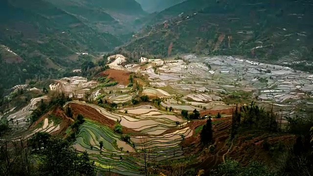 詳情圖-位于中國元陽的老虎嘴多益樹稻田