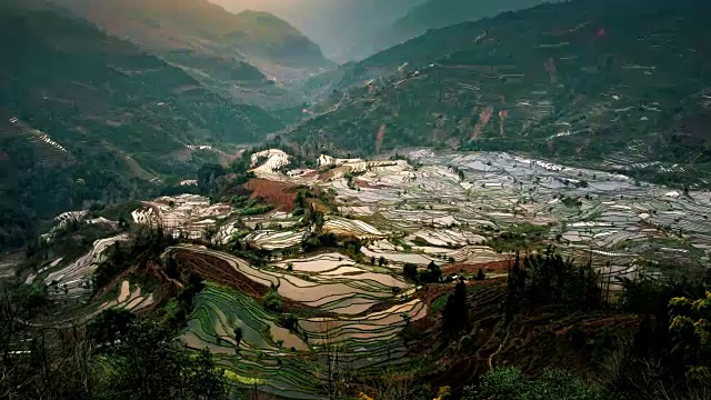 詳情圖-位于中國元陽的老虎嘴多益樹稻田