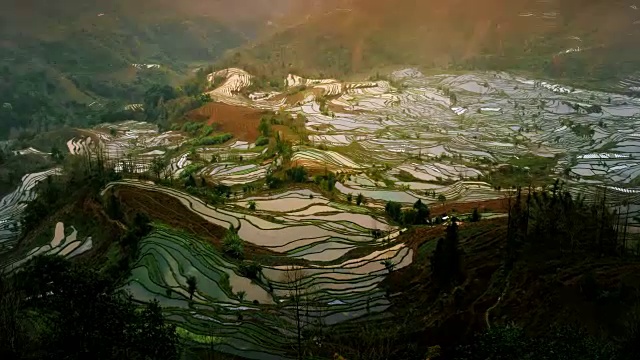 詳情圖-位于中國元陽的老虎嘴多益樹稻田