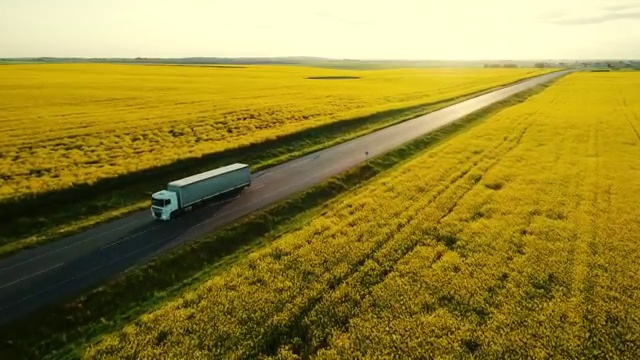 詳情圖-油菜籽田附近高速公路上卡車(chē)的鳥(niǎo)瞰圖