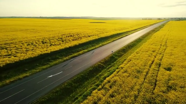 詳情圖-油菜籽田附近高速公路上卡車(chē)的鳥(niǎo)瞰圖