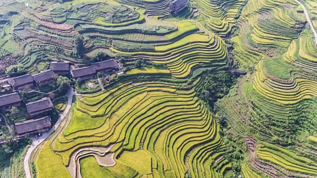 中国桂林龙胜的龙脊梯田