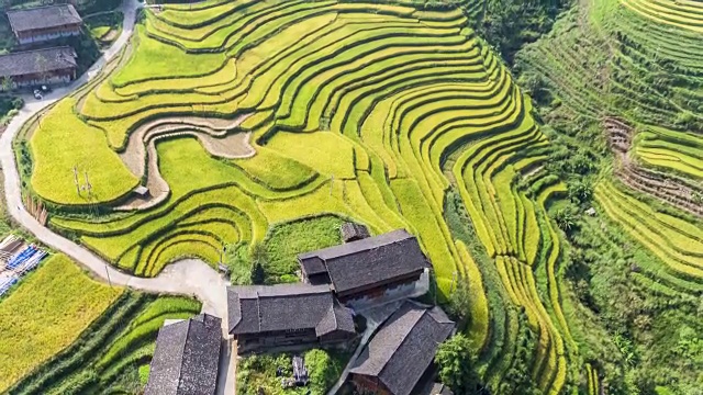 详情图-中国桂林龙胜的龙脊梯田