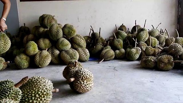 榴梿超高清的