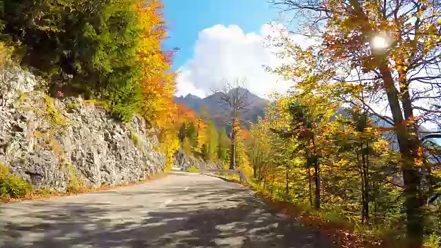 詳情圖-行駛在風景優(yōu)美的道路上，穿過秋天的森林，陽光照耀著五顏六色的樹葉